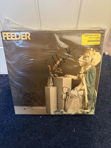 Feeder picture perfect - picture,
