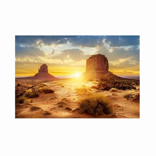 Reptile background sun and - background,