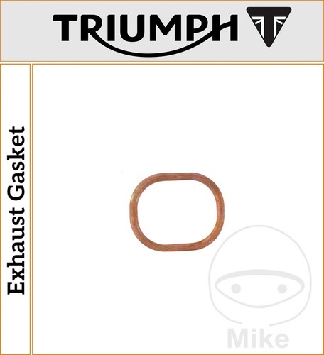 Triumph daytona 955 - daytona,