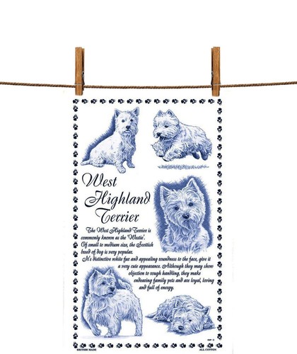 West highland terrier - west, tea