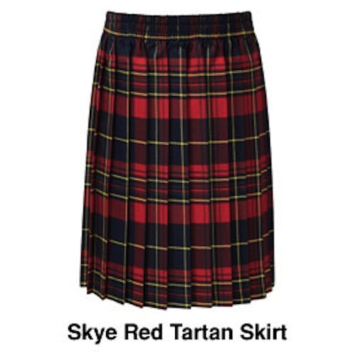 Skye box pleat tartan - skye,