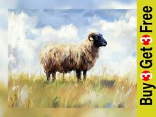 Scottish Blackface Sheep 5"x7"