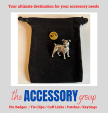 New jack russell dog pet - jack,