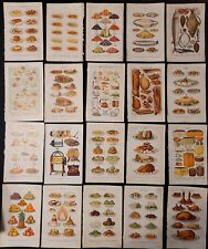 Vintage plates for framing