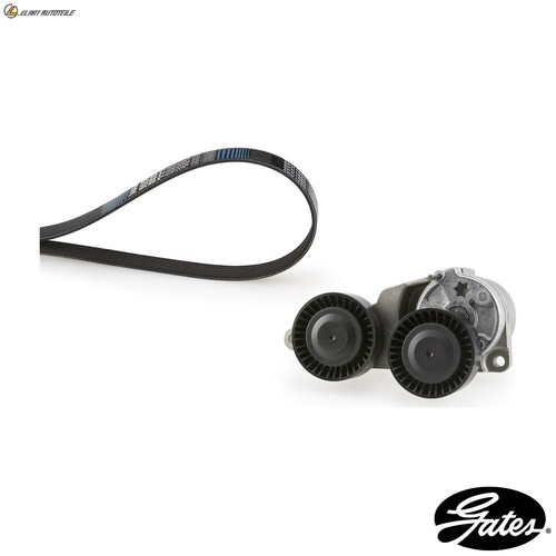 Ribbed belt kit k066dpk1825 - v-ribbed,