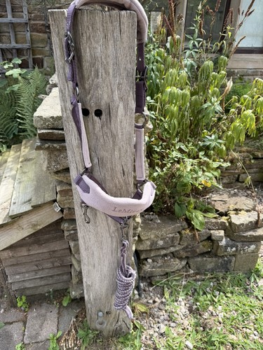 Mieux vogue musk headcollar - vogue,