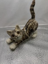 Winstanley Tabby Cat Crouching