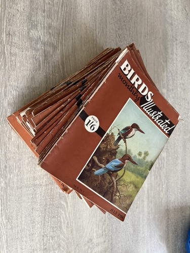 Birds illustrated monthly - illustrated,