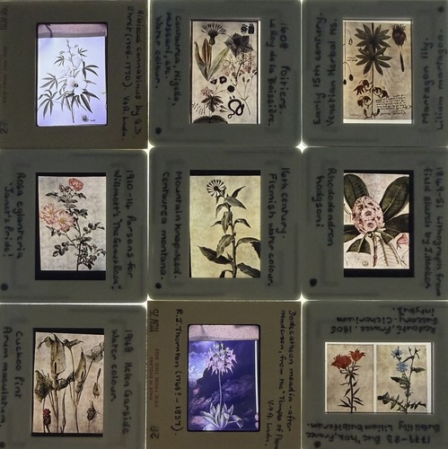 Vintage 35mm photo slides - x,
