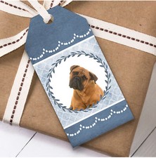 Bullmastiff Dog Blue Birthday