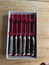 6 Stag Antler Horn Steak