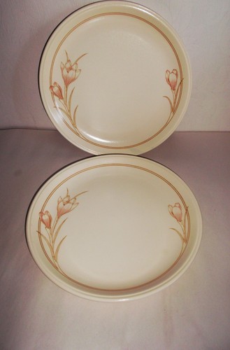 Staffordshire tableware - 2,