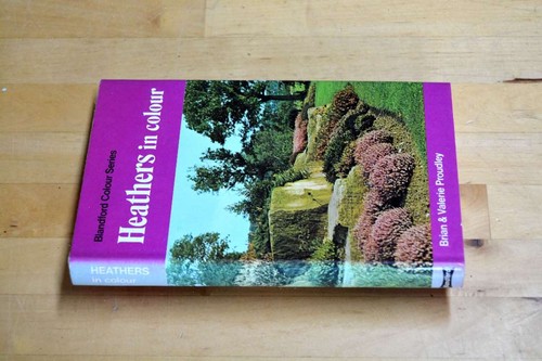 Heathers colour blandford - heathers, in