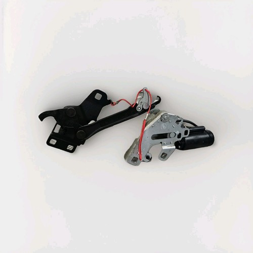 Volkswagen beetle window - volkswagen,
