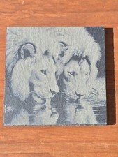 Various Animal design slate
