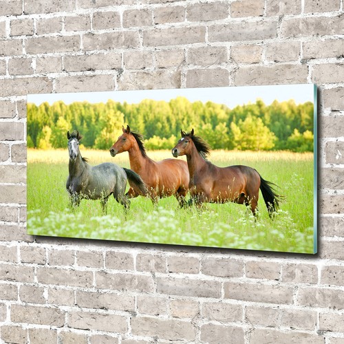 Glass picture wall - art, print
