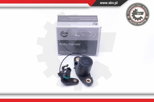 Esen skv 17skv401 sensor - skv,