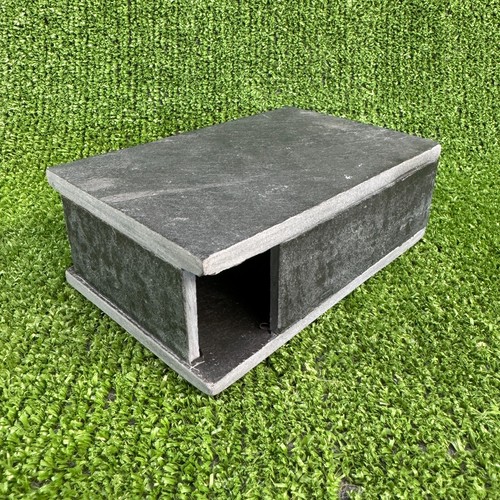 Natural slate aquatic reptile - aquatic,
