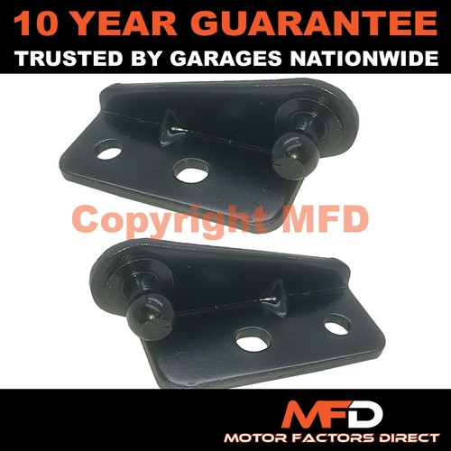 Pair gas strut - strut, fittings