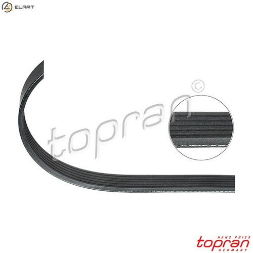 Vribbed belt 300 923 for - belt,