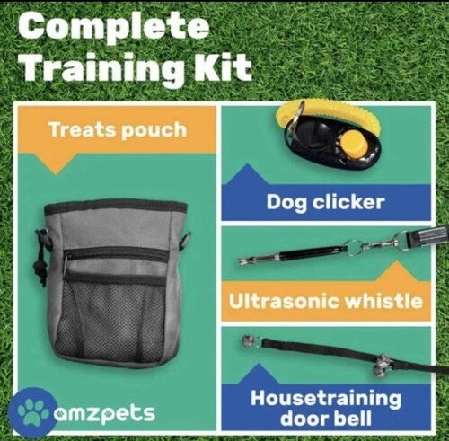 Dog training set - dog, puppy