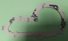 Water Pump Gasket 300 TDI Land