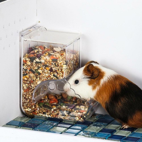 Food automatic dispenser - food,