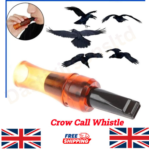 Outdoor crow rook - outdoor, call