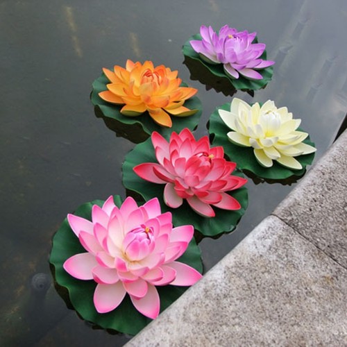 Aquarium water flower - aquarium,