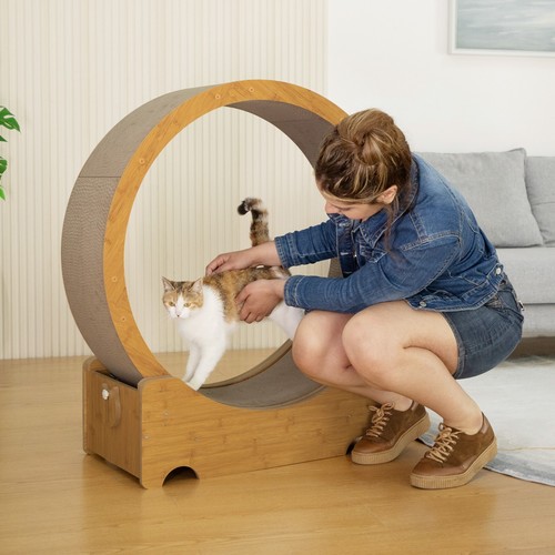 Cat exercise wheel for - exercise,