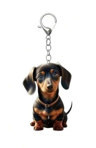 Dachshund sausage dog acrylic - sausage,