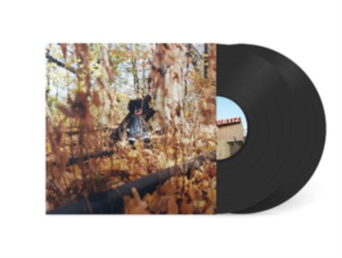Billy woods golliwog - golliwog, lp)