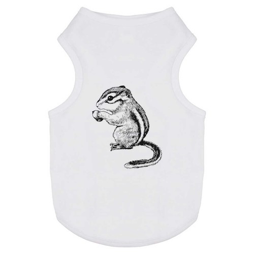Chipmunk pet dog cat - 'chipmunk',