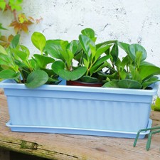 5Pcs Plastic Rectangl Window Box Trough Planter Plant Pot Box With Drainage Tray