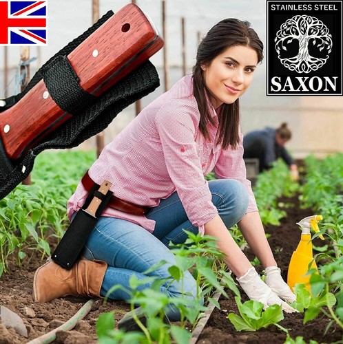 Hori the - new, saxon