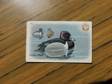 Church &Dwight 1924 Useful Birds of America Series 4#20 Ringneck /Marsh Bluebell