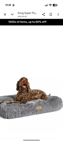 Snug super fluffy dog pet - dog, bed