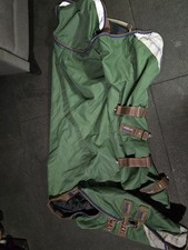 5'3 Premier Equine Akoni