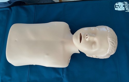 Little anne junior laerdal - little,