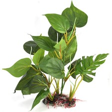 Aquarium Plant  Real Look