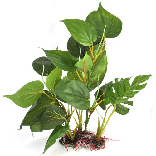 Aquarium plant real - aquarium, look
