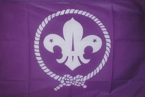 Scouts flag boats - scouts, x