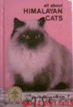 All about himalayan cats - himalayan,
