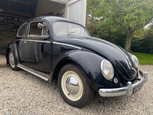 1955 volkswagen beetle - 1955,