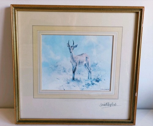Signed print antelope by - of,