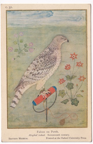 Falcon perch mughal school - falcon,