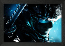 NINJA GAIDEN Framed Wall Art
