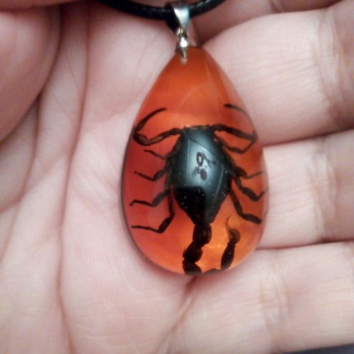 Natural rare black scorpion - rare,
