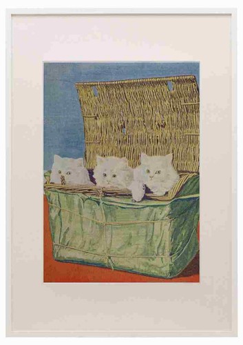 The picture book kittens - book, of
