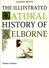 Illustrated natural history - illustrated, of